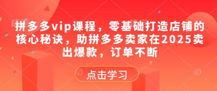 拼多多vip课程，零基础打造店铺的核心秘诀，助拼多多卖家在2025卖出爆款，订单不断-财源创业网