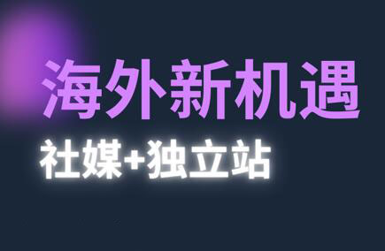 棕榈·2025出海新机遇(社媒+独立站)-财源创业网