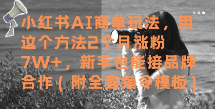 小红书AI商单玩法，用这个方法2个月涨粉7W+，新手也能接品牌合作(附全套指令模板)-财源创业网