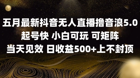 2025五月最新无人直播撸音浪单日产出5张+实操教程【揭秘】-财源创业网