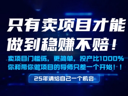 只有卖项目才能做到稳挣不赔，门槛低，更简单，你也可以年入百个W【揭秘】-财源创业网