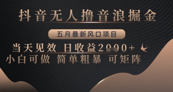 抖音无人撸音浪掘金，五月最新风口项目，当天见效，日收益多张，小白可做简单粗暴可矩阵【揭秘】-财源创业网