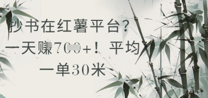 抄书在小红薯平台？平均一单30米，一天收益几张！-财源创业网