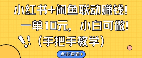 小红书+闲鱼联动挣钱，一单10元，小白可做-财源创业网