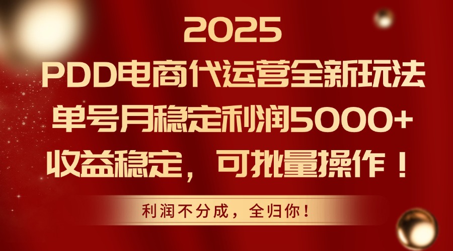2025PDD电商代运营全新玩法，单号月稳定利润5000+，收益稳定，可批量操作-财源创业网