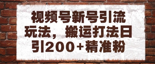 视频号新号引流玩法，搬运打法日引200+精准粉，可矩阵放大【揭秘】-财源创业网