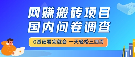 网创搬砖项目，国内问卷调查，小白轻松上手，一天三四张的也不难，干就完了【揭秘】-财源创业网