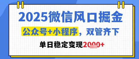 2025微信风口掘金，公众号+小程序双管齐下，单日稳定变现1k+【揭秘】-财源创业网
